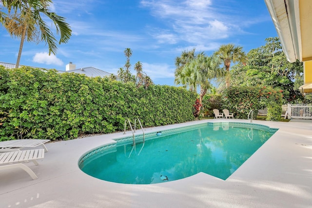 view of swimming pool featuring a patio area