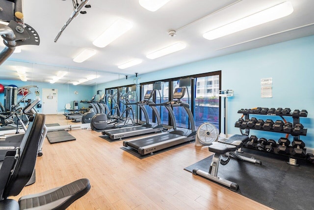 workout area featuring wood-type flooring