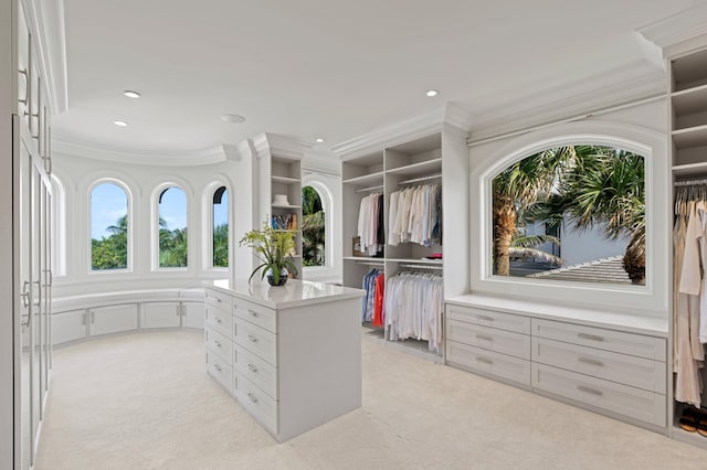 spacious closet with light carpet