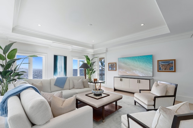 living room with crown molding and a raised ceiling