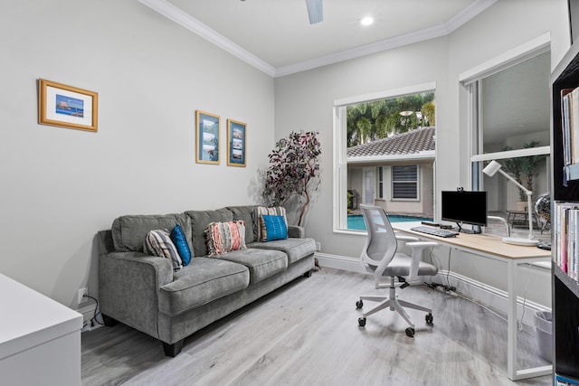 office space featuring ornamental molding and light wood-type flooring