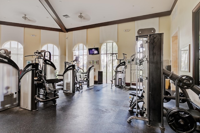 exercise room featuring a high ceiling