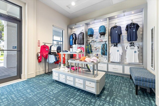 workout area featuring a paneled ceiling, built in features, and carpet