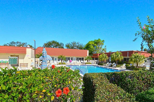 view of pool featuring a patio