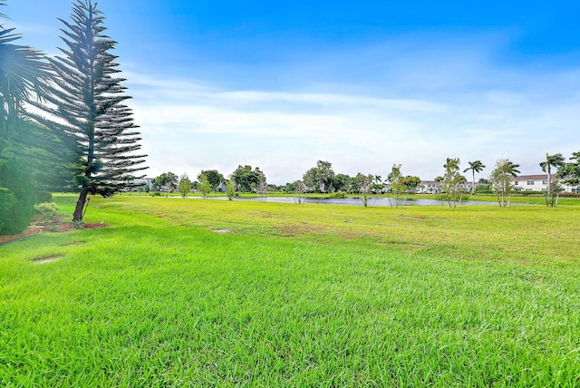 view of yard with a water view