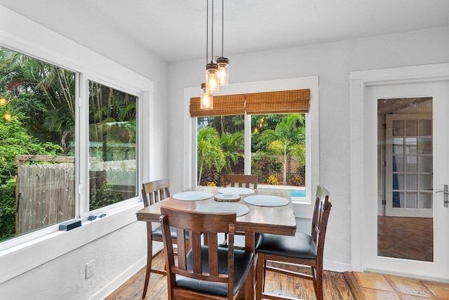 dining room featuring hardwood / wood-style floors