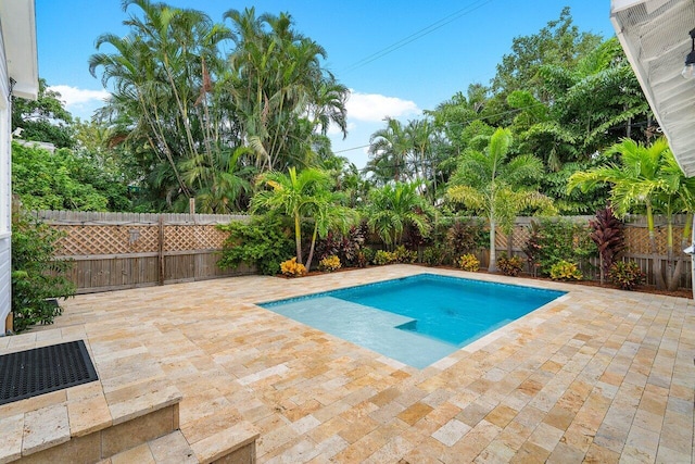 view of swimming pool with a patio