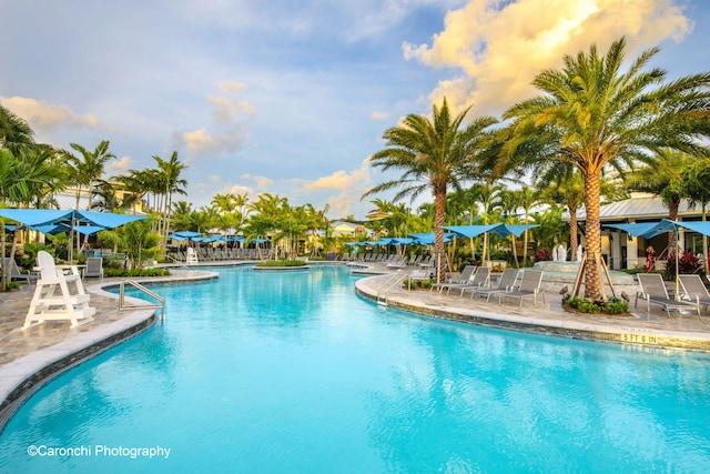 view of pool with a patio area