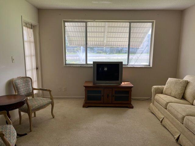 sitting room featuring a healthy amount of sunlight and light carpet