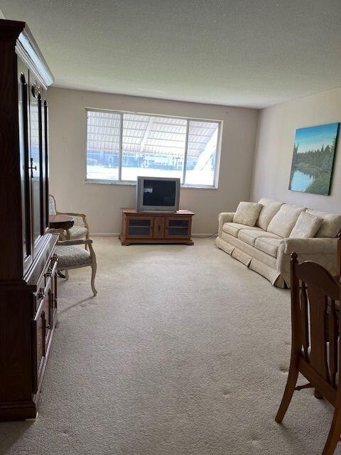 carpeted living room with a textured ceiling