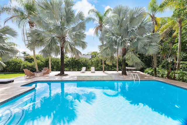 view of swimming pool with a patio