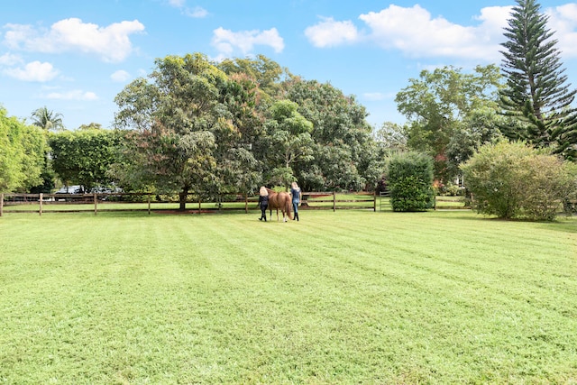 view of yard with a rural view