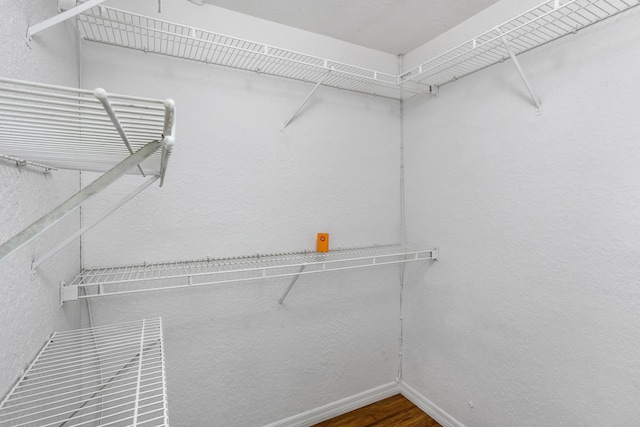 walk in closet featuring hardwood / wood-style flooring