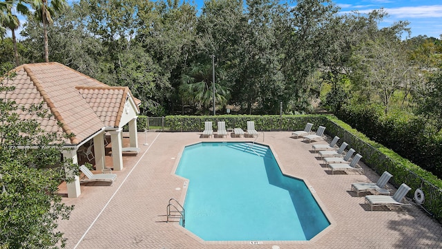 view of swimming pool featuring a patio area