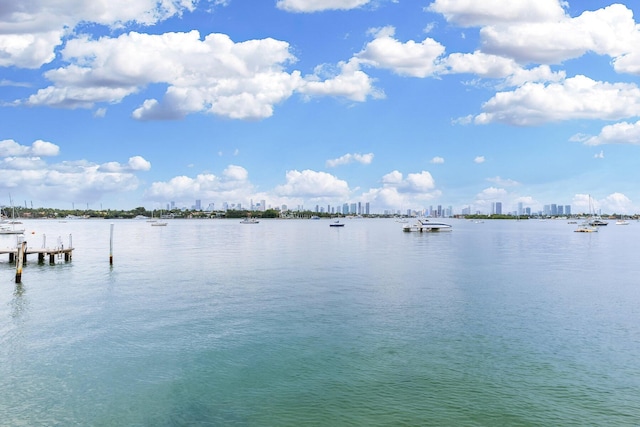1000 W Ave Unit 502, Miami Beach, FL 33139 - water view featuring a dock and city skyline