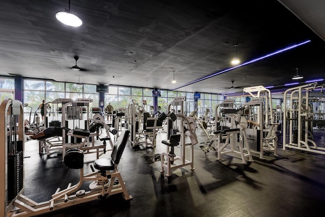 1000 W Ave Unit 502, Miami Beach, FL 33139 - workout area with a ceiling fan and floor to ceiling windows