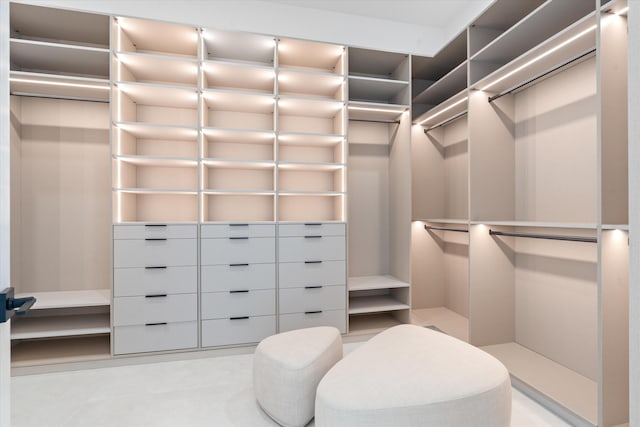 view of spacious closet