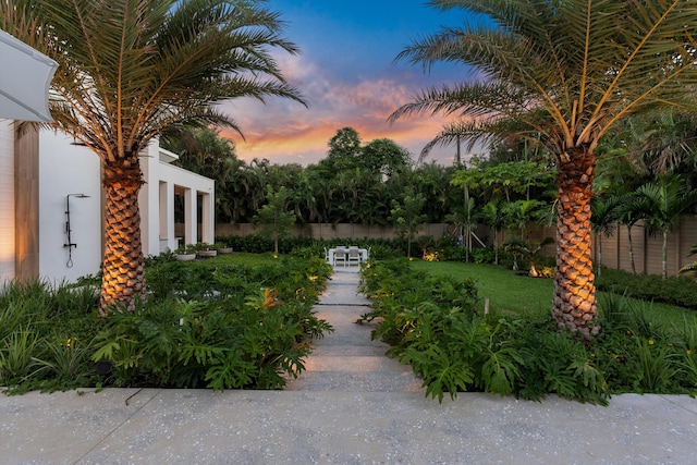 view of yard at dusk