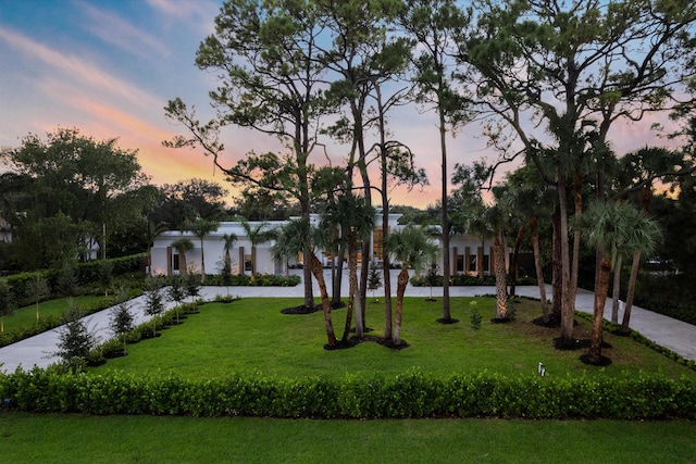 view of property's community with a lawn