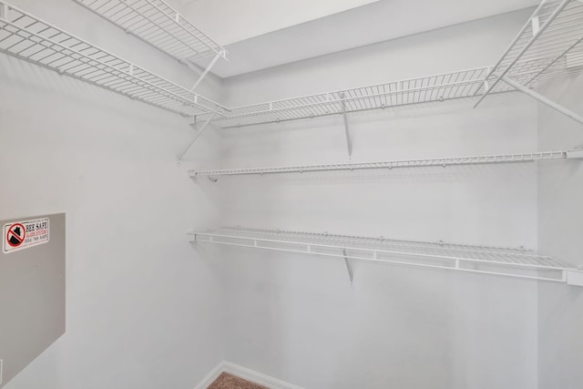 view of spacious closet