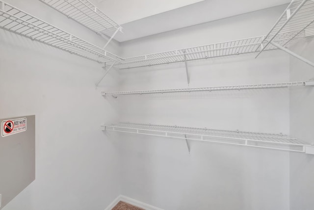 view of walk in closet