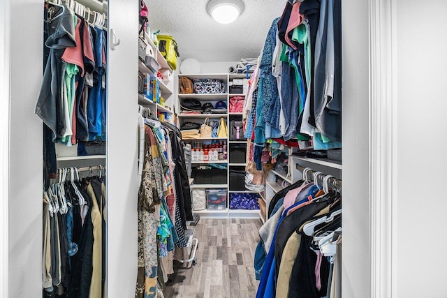 walk in closet featuring wood-type flooring