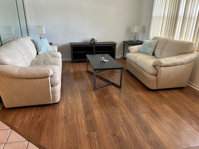 living room featuring hardwood / wood-style floors