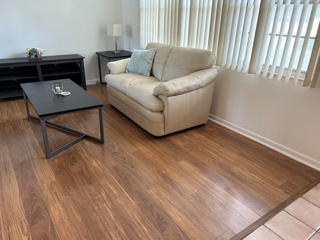 living room featuring wood-type flooring