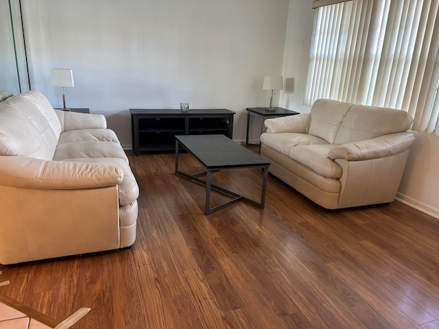 living room featuring dark wood-type flooring