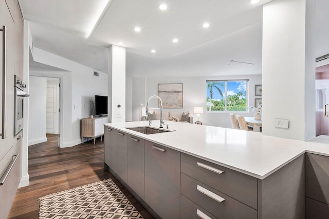 kitchen featuring oven, dark hardwood / wood-style floors, and sink