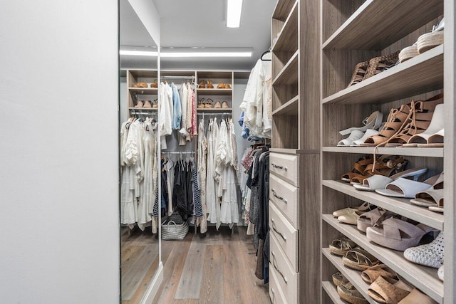 walk in closet featuring hardwood / wood-style flooring