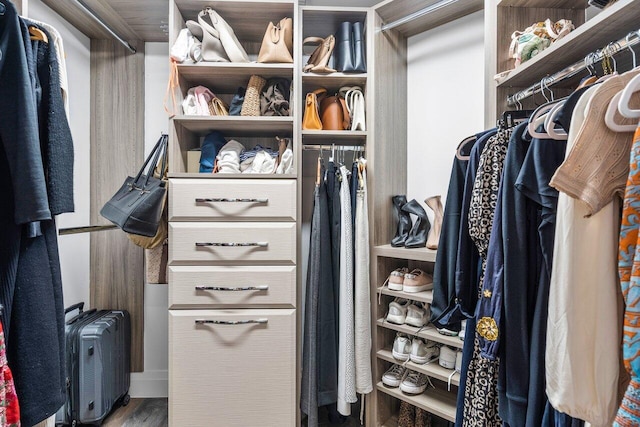 spacious closet with hardwood / wood-style floors