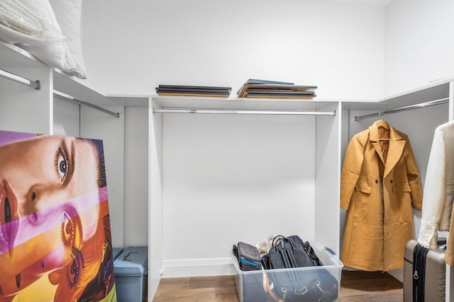 walk in closet featuring hardwood / wood-style flooring