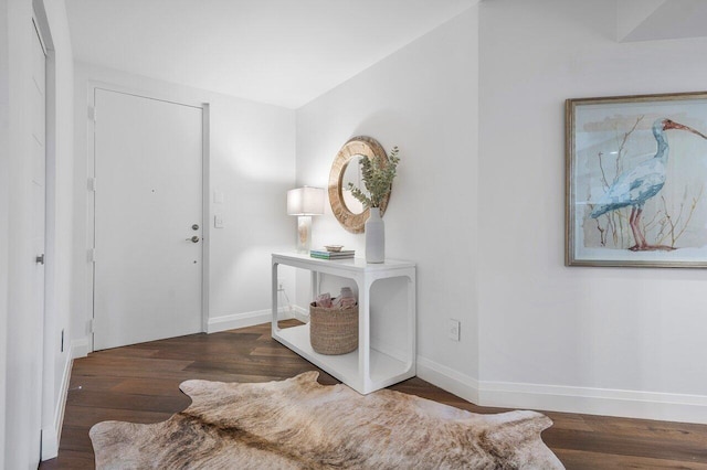 foyer entrance featuring dark wood-type flooring