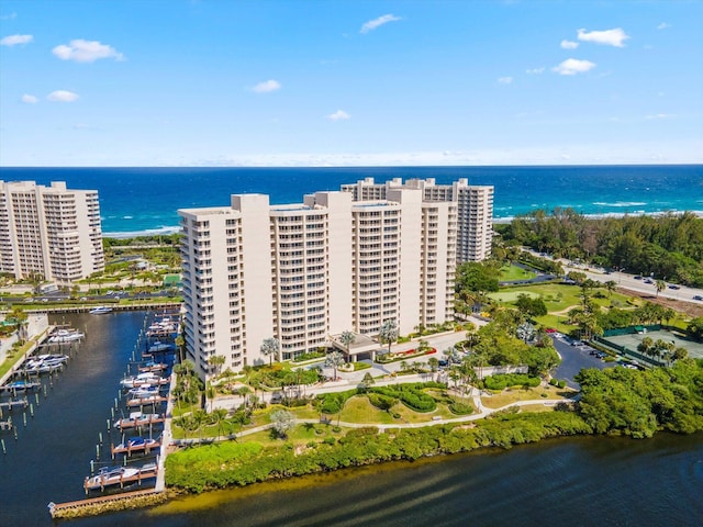 aerial view with a water view