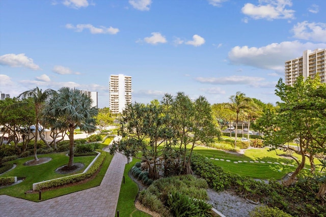 view of home's community featuring a lawn