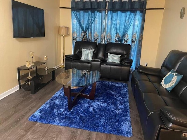 living room with hardwood / wood-style flooring