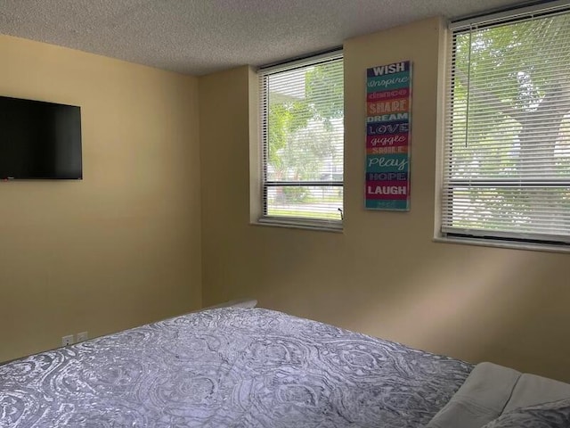 bedroom featuring multiple windows and a textured ceiling