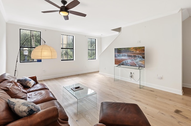 living room featuring ornamental molding, ceiling fan, and light hardwood / wood-style flooring