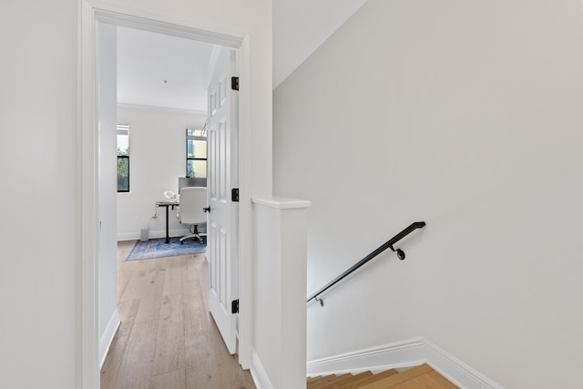 hall featuring ornamental molding and light hardwood / wood-style flooring