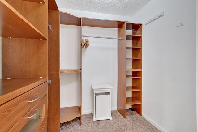 spacious closet with light carpet