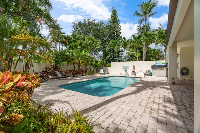 view of pool featuring a patio