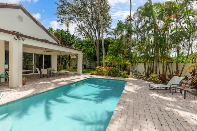 view of pool with a patio and ceiling fan