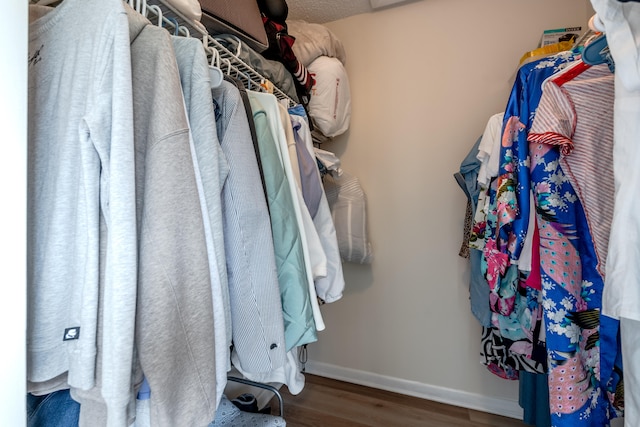 spacious closet with dark hardwood / wood-style floors