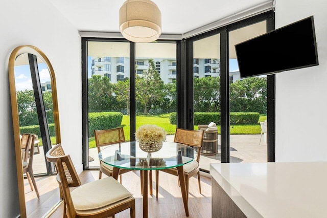 interior space featuring expansive windows and light hardwood / wood-style flooring