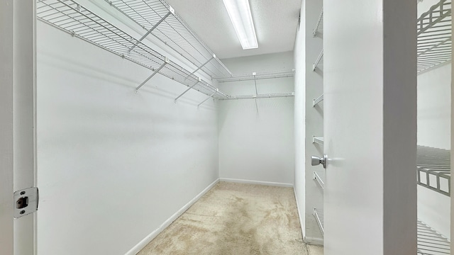 spacious closet featuring carpet