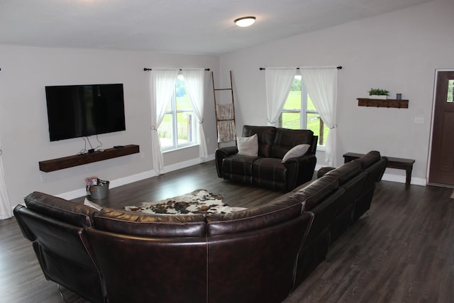 living room featuring dark hardwood / wood-style flooring and a healthy amount of sunlight