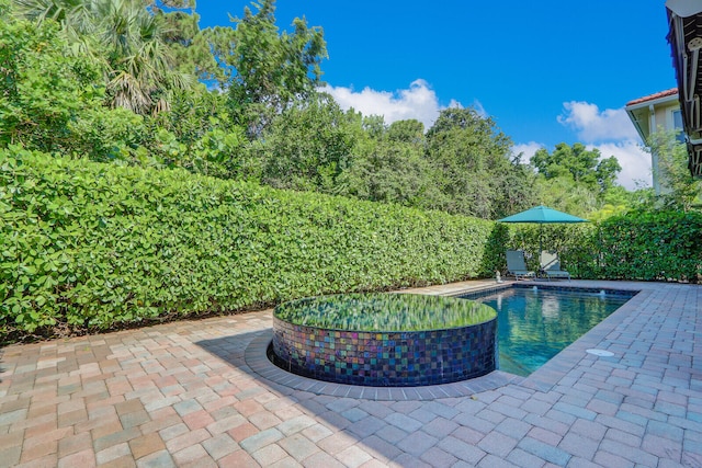 view of swimming pool featuring a patio area