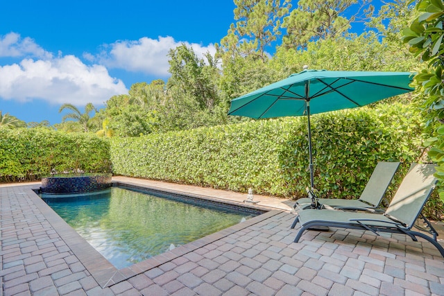 view of pool with a patio area