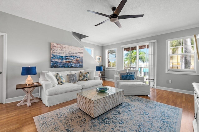 living room with a textured ceiling, ceiling fan, light hardwood / wood-style floors, and crown molding